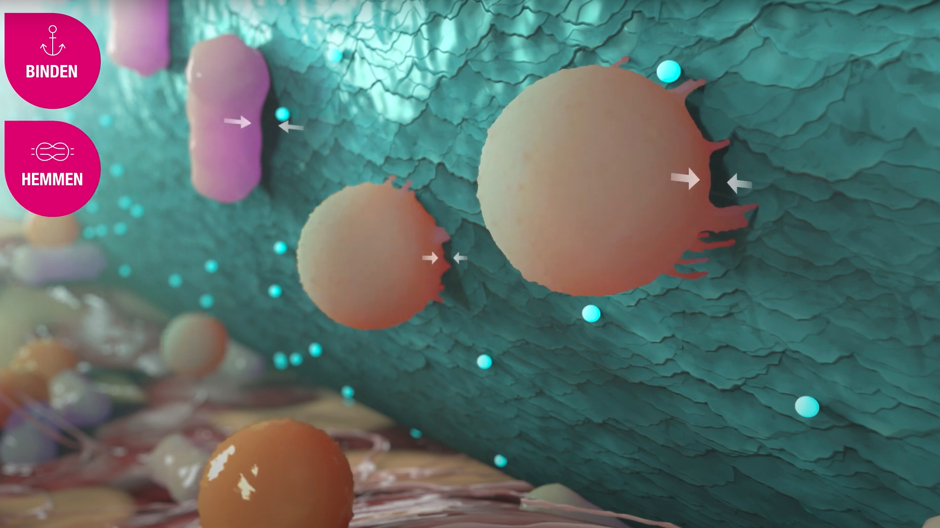 Die Sorbact Technologie erklärt Die Sorbact Technologie erklärt